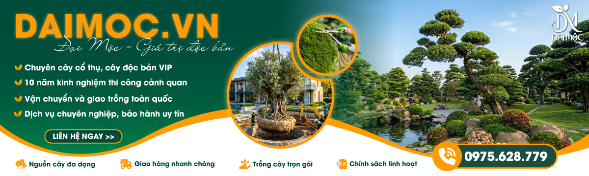 Kỹ sư Hà Quang Phúc
