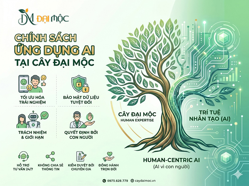 Giá trị cốt lõi của chính sách ứng dụng trí tuệ nhân tạo (AI) tại Cây Đại Mộc