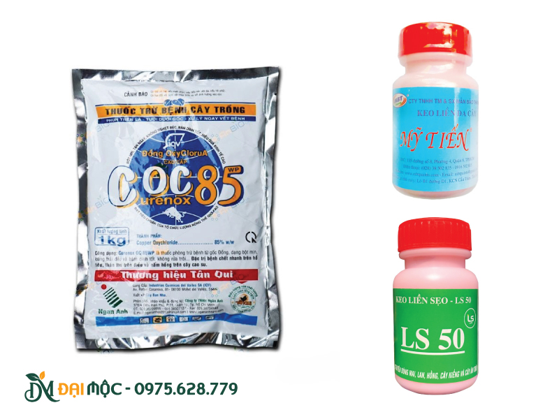 Thuốc nấm gốc Đồng và keo liền sẹo
