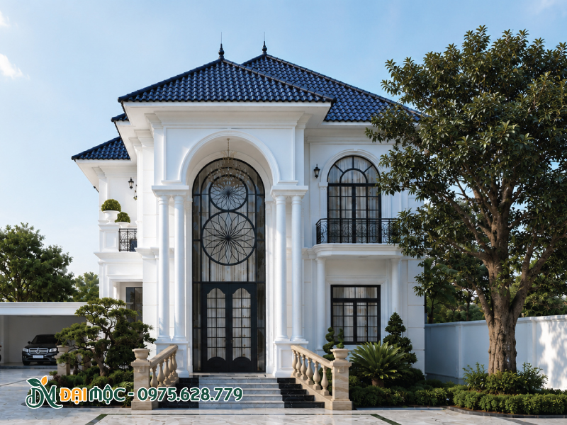 Trồng cây vú sữa cổ thụ ở bên Thanh Long