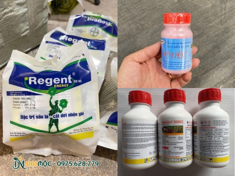 Các loại thuốc được sử dụng để trị sâu đục thân
