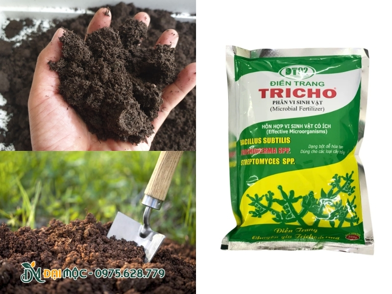 Bổ sung nấm đối kháng và phân trùn quế cho đất