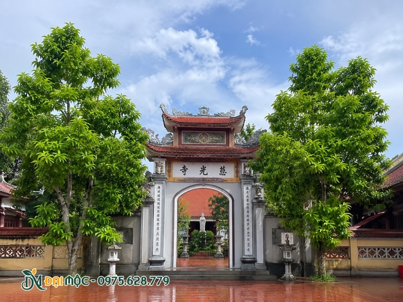 Trồng cây ngọc lan cổ thụ ở hai bên cổng tam quan