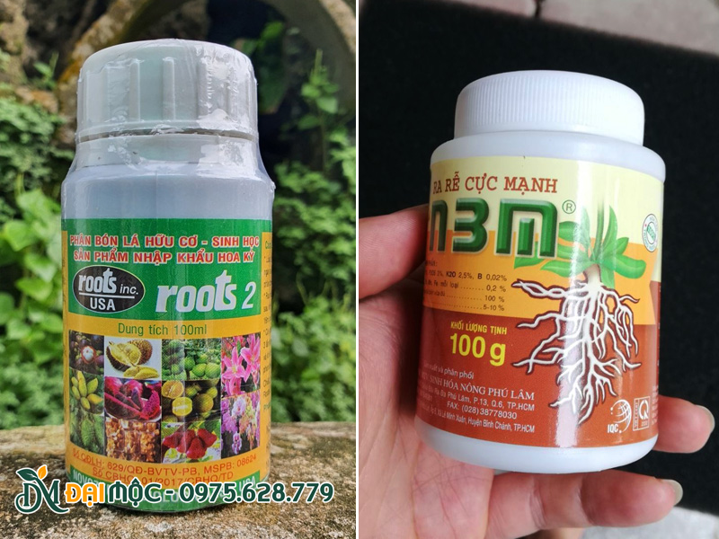 Thuốc kích thích ra rễ cho cây công trình, cây cổ thụ