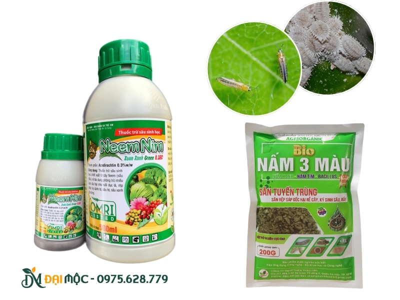 Phòng ngừa sâu bệnh bằng các chế phẩm sinh học an toàn