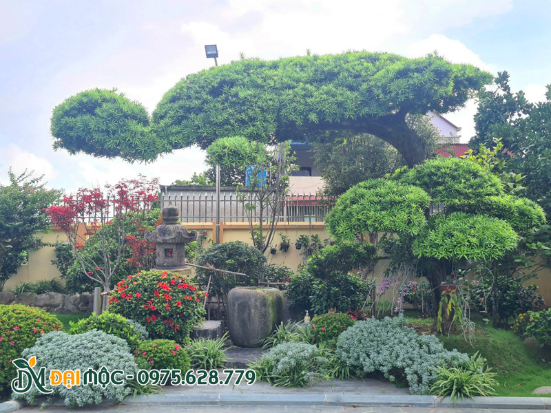 Thiết kế cảnh quan sân vườn biệt thự đẹp, đa sắc màu