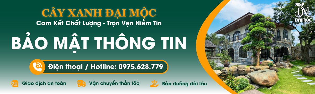 Bảo mật thông tin trên website Cây Xanh Đại Mộc