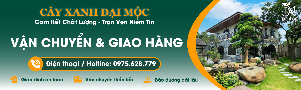 Chính sách vận chuyển và giao hàng tận nơi