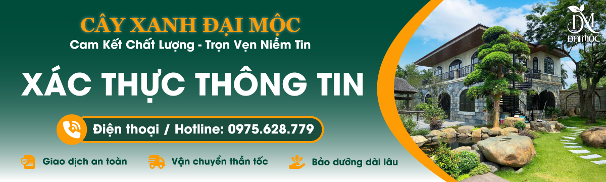 Xác thực thông tin địa chỉ chính xác của Cây Xanh Đại Mộc