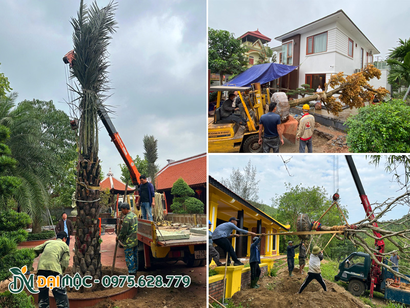 Thi công cảnh quan sân vườn, nhà thờ họ, khu lăng mộ