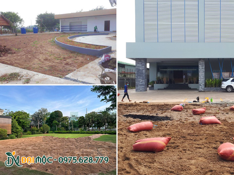 Xử lý nền đất trước khi trồng cỏ