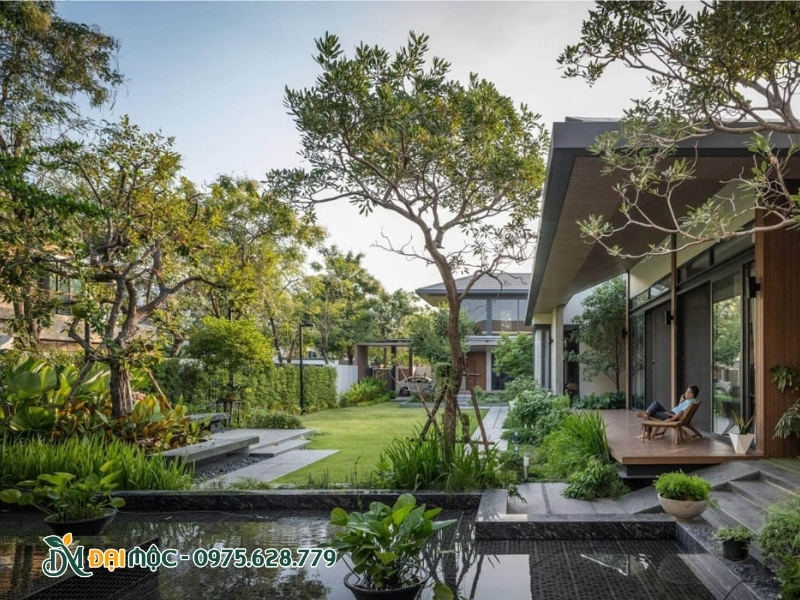 Sân vườn đẹp, vô cùng sang trọng