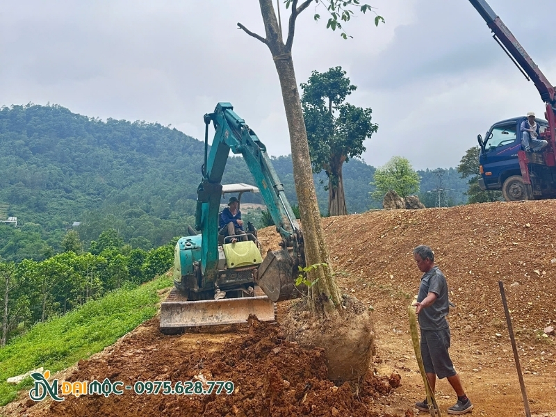 Máy múc làm tơi đất và loại bỏ bớt sỏi đá