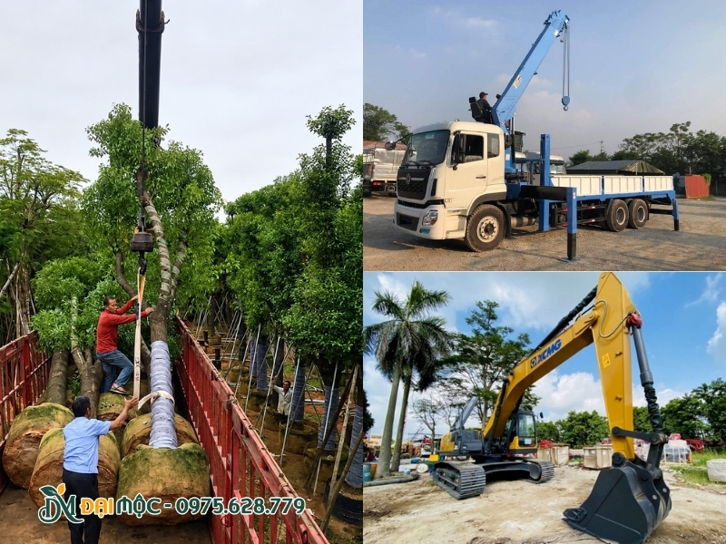 Xe cẩu, xe múc đã được Đại Mộc chuẩn bị kỹ càng