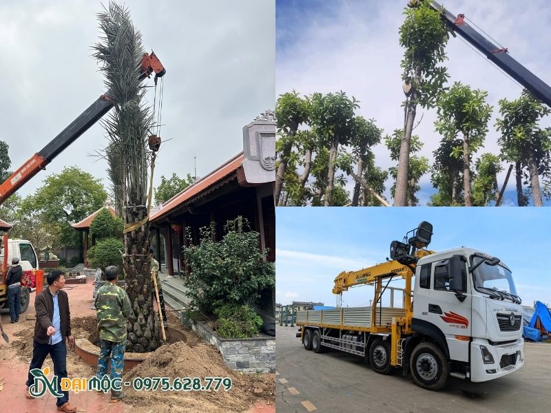 Hệ thống xe chuyên dụng và nhân sự cần thiết để hoàn thành dự án