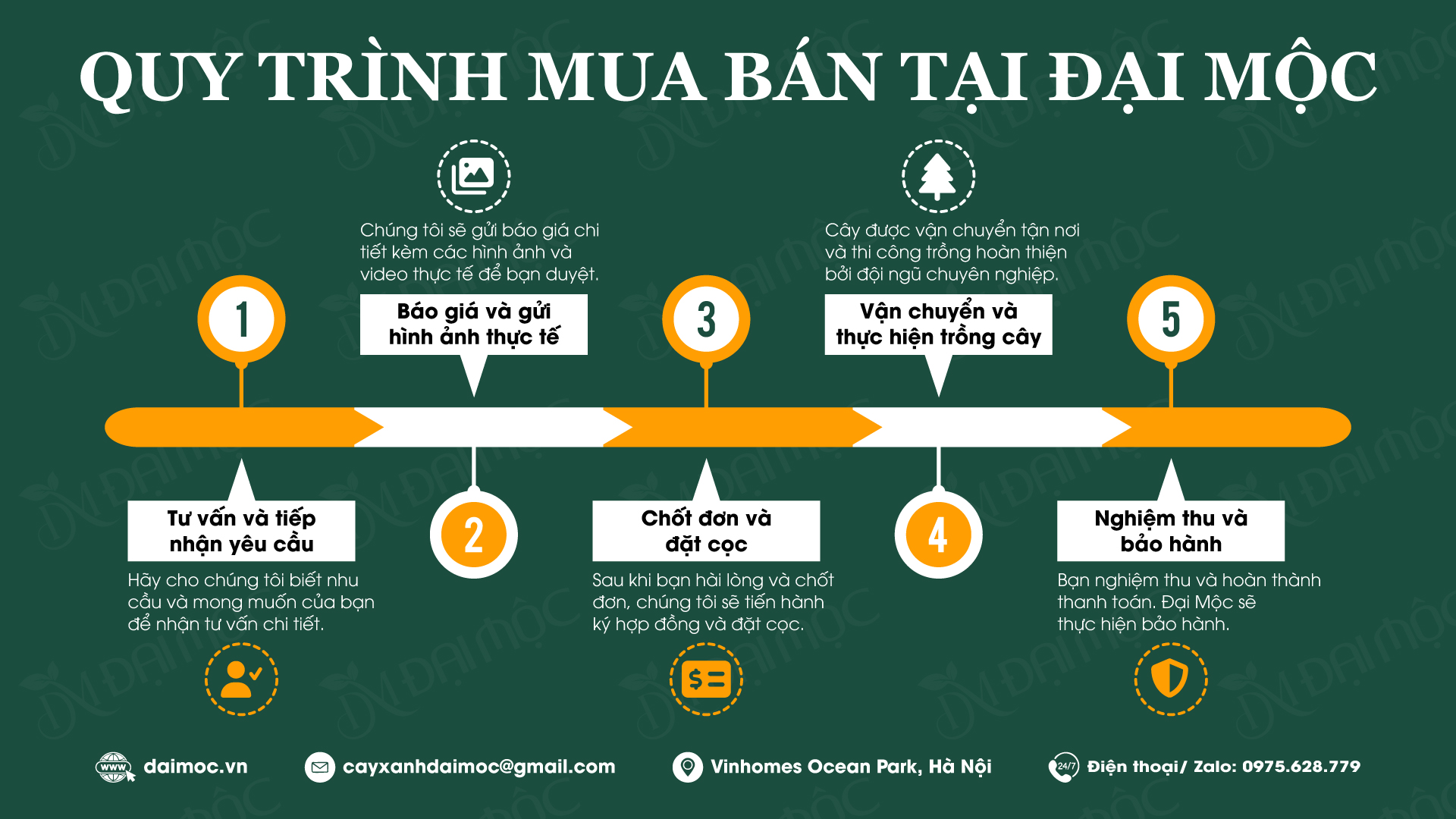 Quy trình mua bán cây cổ thụ tại Cây Xanh Đại Mộc