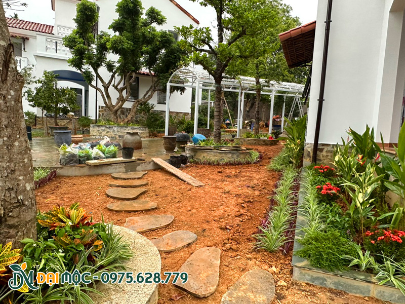 Công nhân đang tập kết cây và xử lý nền đất sân vườn