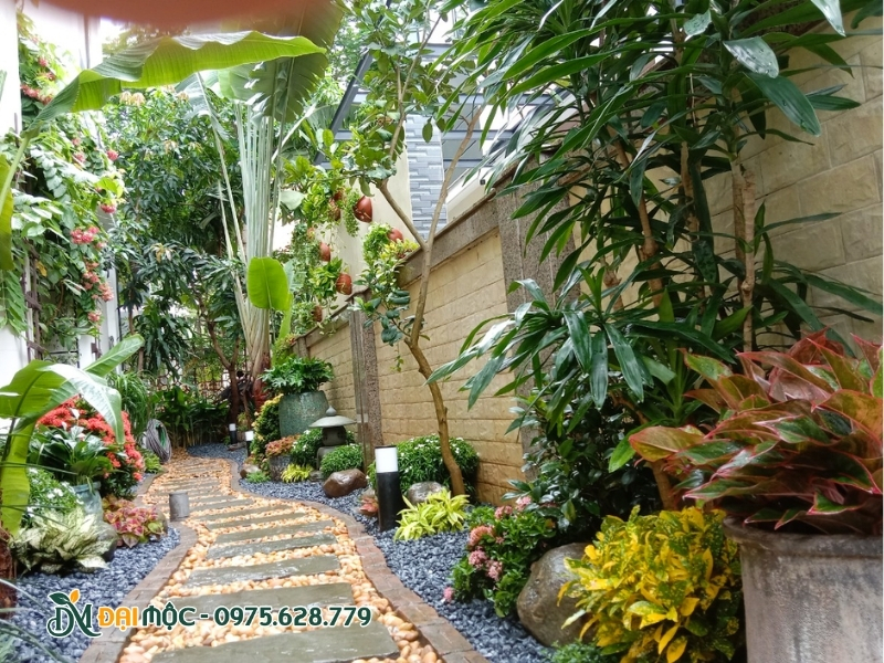 Sự kết hợp nhiều chi tiết hài hòa trong sân vườn xanh