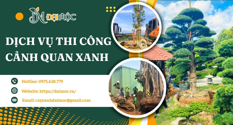 Thi công cảnh quan xanh cho biệt thự, công trình