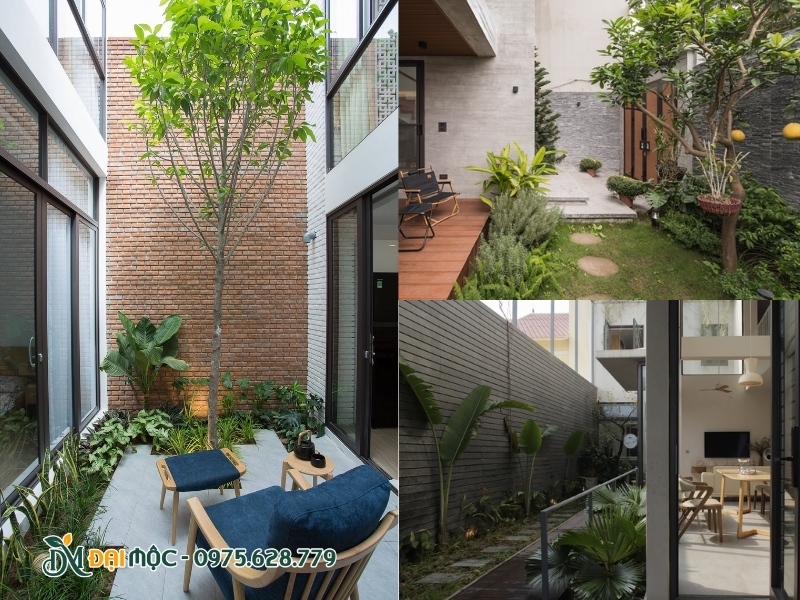 Thiết kế phong cách tối giản cho khu vườn