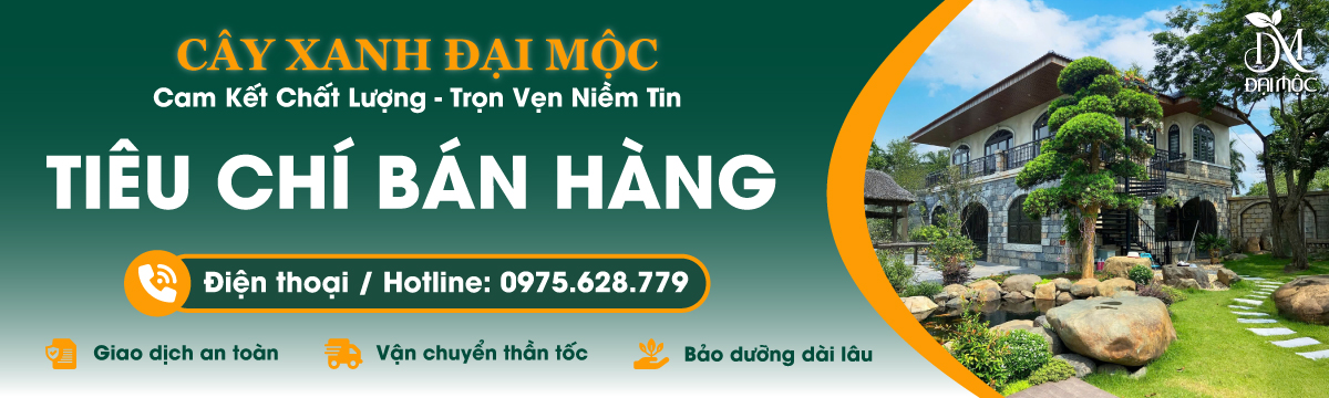 Tiêu chí bán hàng cây xanh cổ thụ tại Cây Đại Mộc