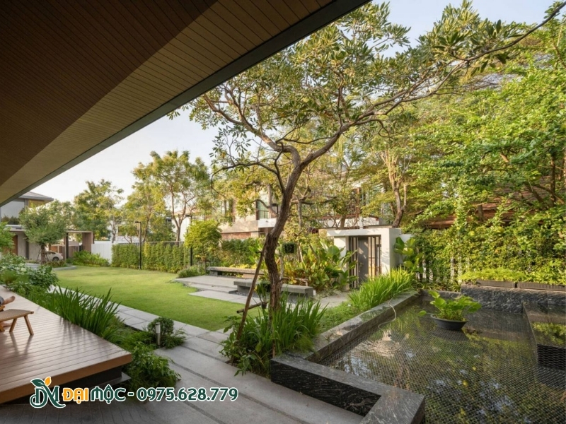 Sân vườn xanh mát với nhiều cây