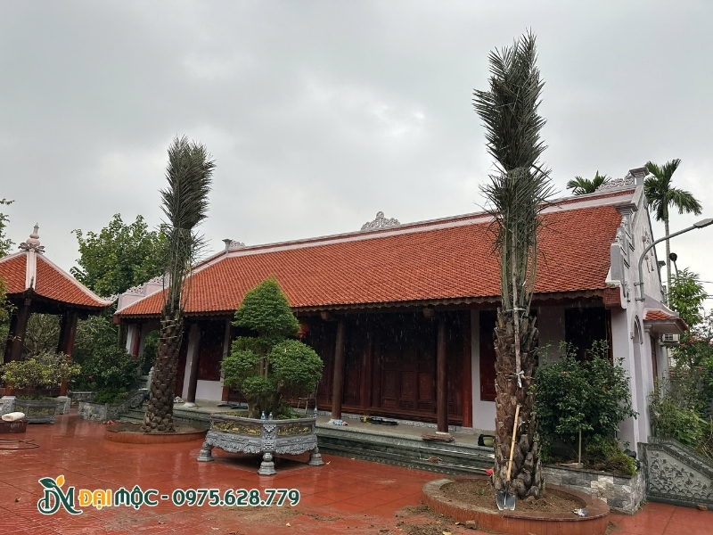 Hai cây chà là vạm vỡ trồng hai bên của nhà thờ
