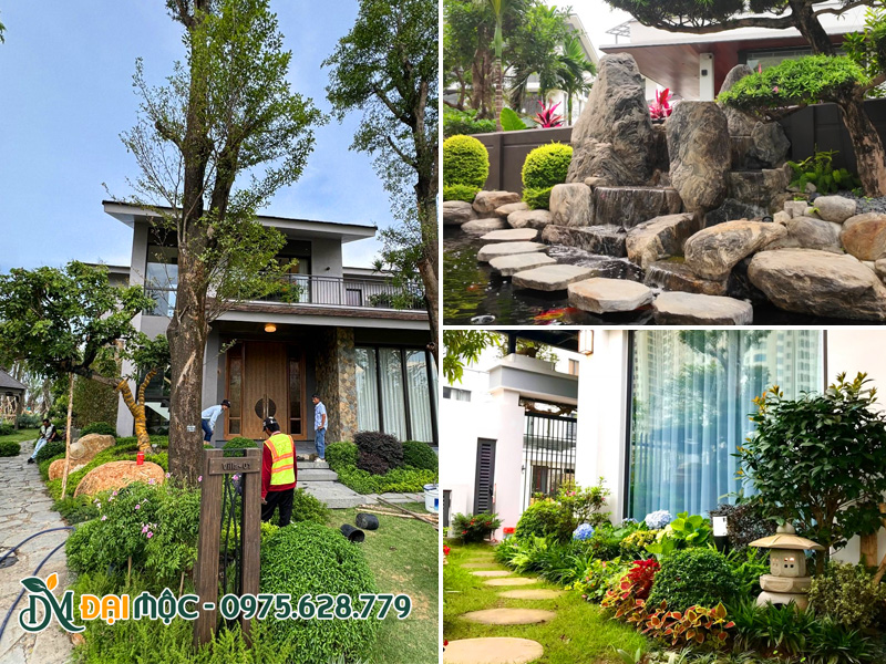 Dịch vụ trồng cây sân vườn gia đình trọn gói chuyên nghiệp