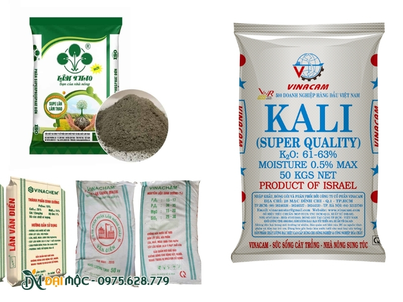 Các loại phân bón giàu Lân và Kali cho cây lộc vừng