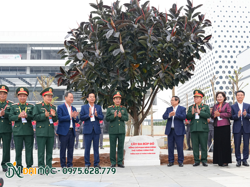 Dự án trồng cây lưu niệm cho khuôn viên Tập Đoàn Viễn Thông Quân Đội Viettel có sự tham gia của Thủ tướng Phạm Minh Chính